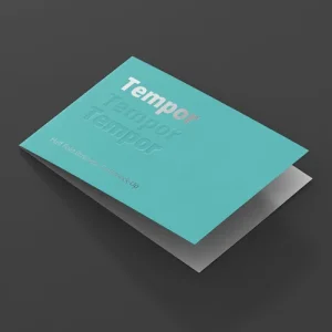 03 Visual tarjeta visita